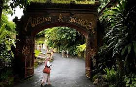 wisata bali museum ubud
